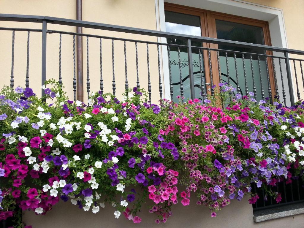 Bellaguarda Rooms 10Min Da Tirano 토보 디 산타가타 외부 사진